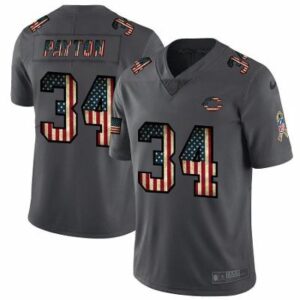 Men's Chicago Bears Walter Payton 2019 Salute to Service Flag Black Jersey