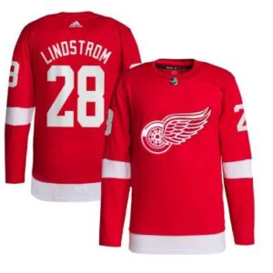 Men's Detroit Red Wings #28 Gustav Lindstrom Hocley All Stitched Red Jersey