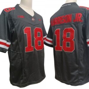 Ohio State Buckeyes 18 Marvin Harrison Jr Black Vapor Fuse Limited Jersey