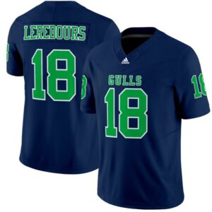 Lerebours #18 Gulls   All Stitched Navy